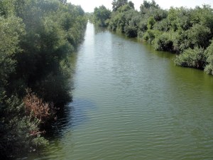 RG la river 3